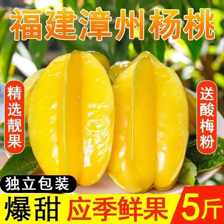 【精品杨桃】漳州新鲜杨桃当季水果清甜多汁皮薄现摘5斤顺丰包邮