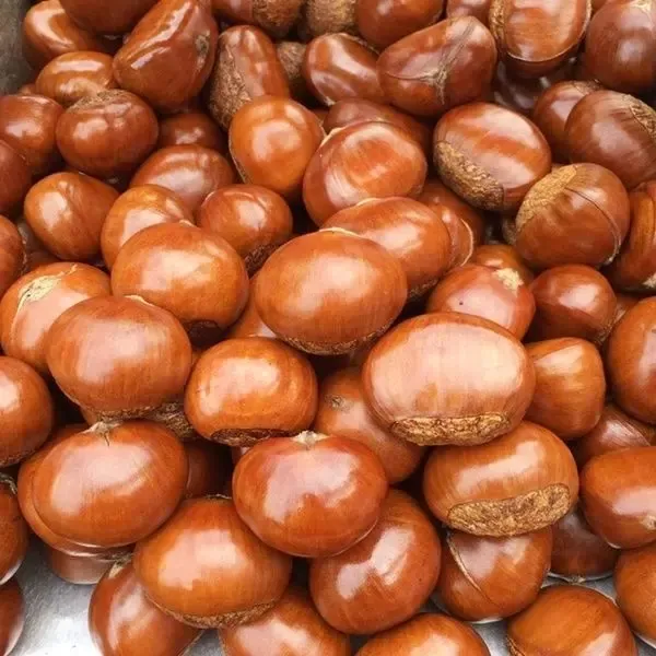 糖炒板栗坚果炒货美味零食