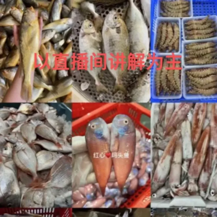 神泉港 杂鱼套餐 5盒省内包邮