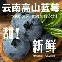 【精品大果!】高山露天花香蓝莓高山种植现采现发净25带卡尺LF