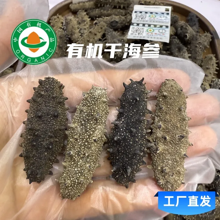 【有机参】淡干有机海参，孕妇，术前术后滋补佳品，高泡发