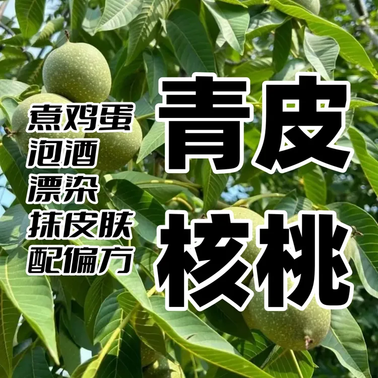 偏方用青皮核桃煮鸡蛋泡酒药用带青皮新鲜现摘山货可食用顺丰包邮