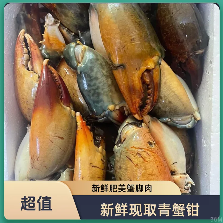 新鲜青蟹腿特大青蟹钳现掰蟹脚钳肉活蟹冷冻青蟹脚蟹钳鳌大肉多