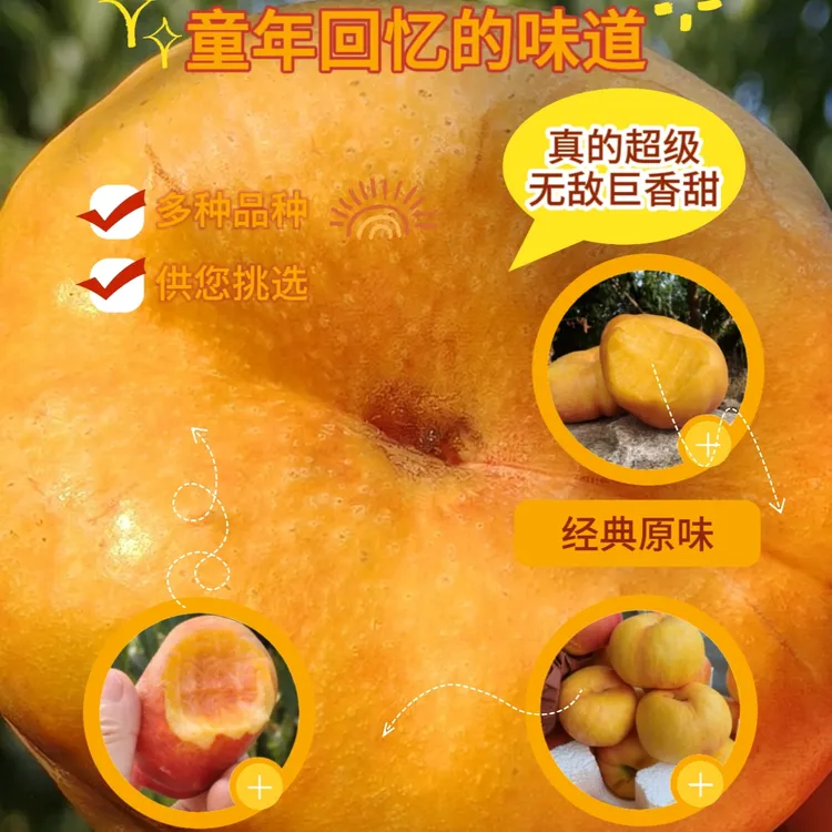 彩虹油蟠桃新鲜夏日水果山东蒙阴产脆甜多汁自家果园现摘现发