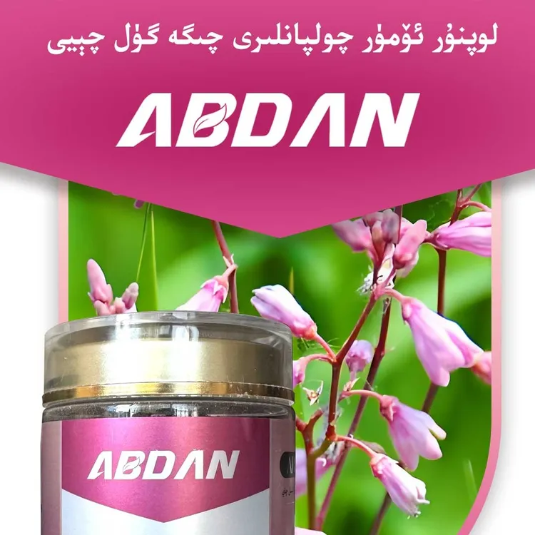 阿布但齐各花茶  لوپنۇر چۆل چىگە گۈل چېيى 