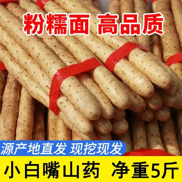 2025年河北小白嘴铁棍山药粉糯香甜产地直发五斤带土发货