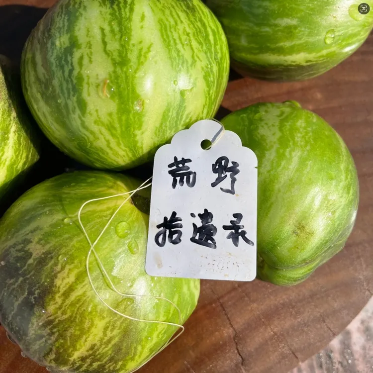 VT16战斗机梨型（5粒种子）花青素番茄种子庭院种植露台