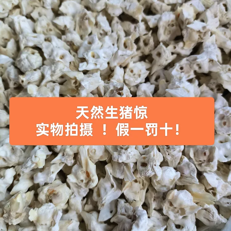 天然原生态新鲜生猪惊骨手工编绳diy原料婴儿防吓