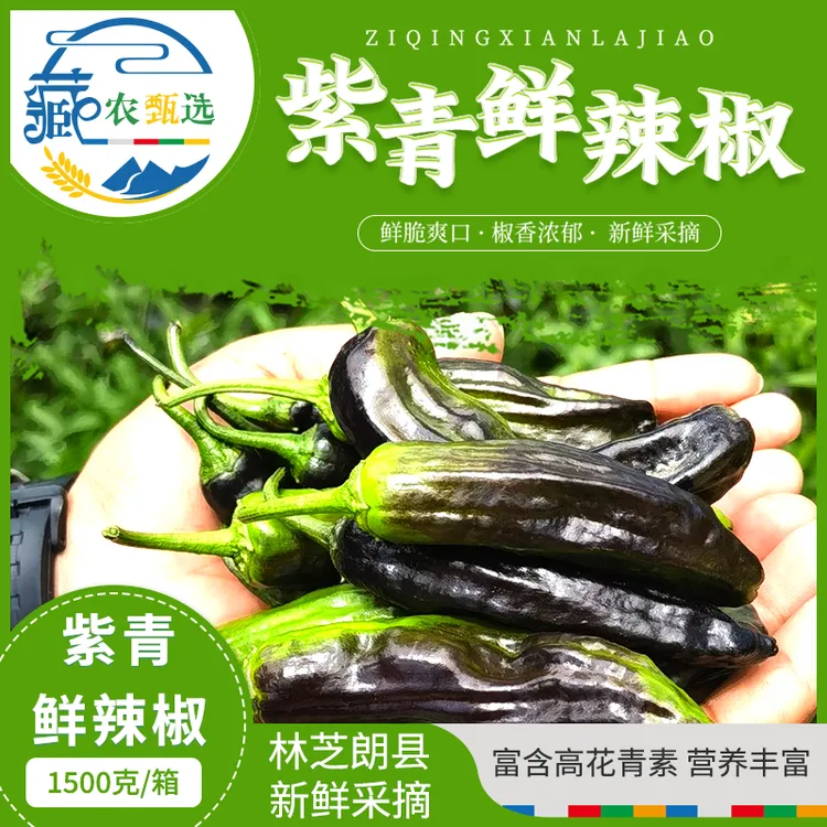 朗香缘 西藏林芝朗县新鲜（紫青辣椒）原产地皮薄肉脆3斤/5斤