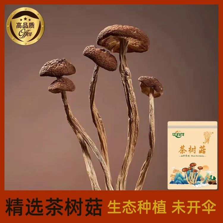 华农茂[茶树菇]中国食用菌之都精选茶树菇干货200g特产煲汤养胃