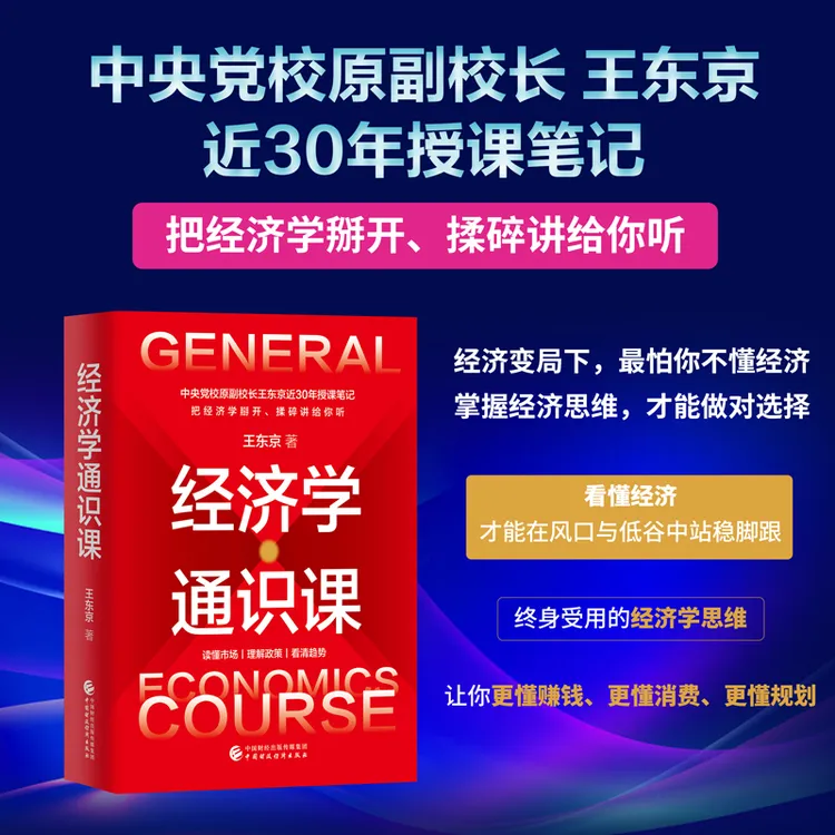 经济学通识课王东京精装把经济学掰开揉碎讲给你听教你读懂市场书