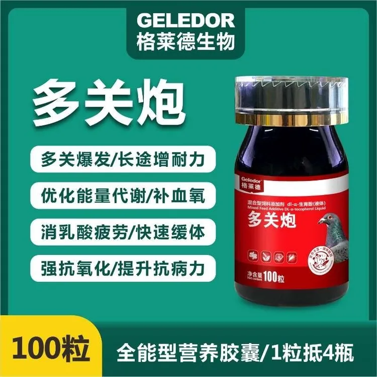 格莱德多关炮补充体能促恢复鸽子比赛提高耐力爆发力排乳酸消疲劳