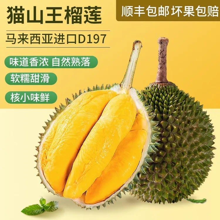 精选猫山王榴莲【顺丰包5房】AA级（少一房赔一房）液氮冷冻顺丰包邮