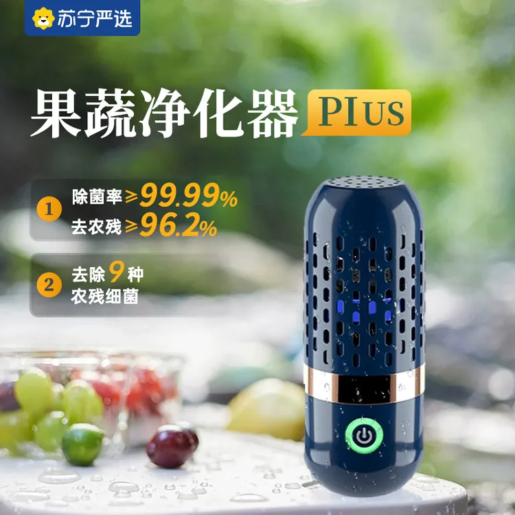 果蔬净化器食材果蔬清洗机洗菜机水果蔬菜除菌除农残自动洗菜机K