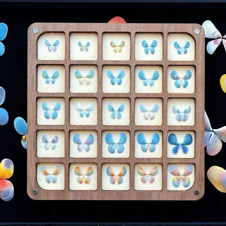 【天然隔贻贝壳】贝壳标本装饰摆件 收藏DIY手工造景