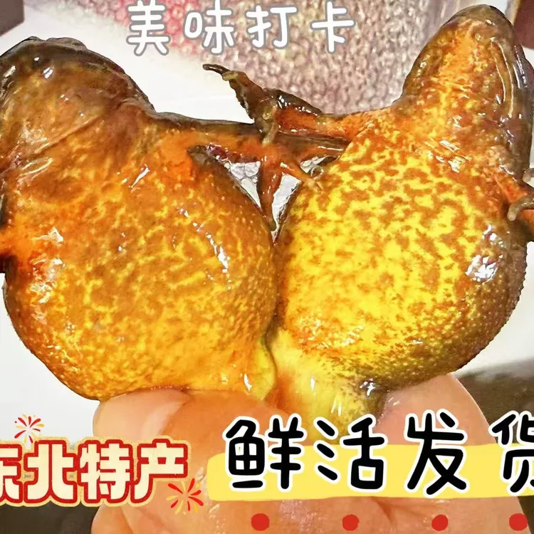 东北河鲜长白山母豹子黄肚满籽满油顺丰包邮