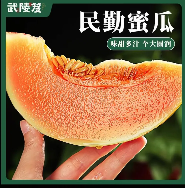 正宗甘肃民勤沙漠蜜瓜，金红宝，新鲜多汁当季水果