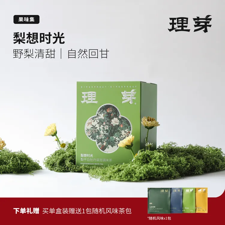 【开业赠礼】理芽福鼎白茶袋泡茶包单盒装｜梨想时光｜雪梨白牡丹