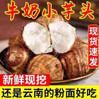 （小刘村长助农）云南新鲜现挖牛奶小芋头粉糯香甜细腻嫩滑农家自种