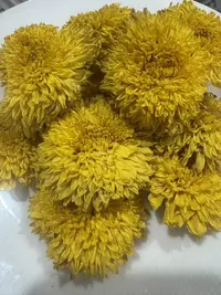 婺源贡菊 正宗精品菊花茶单朵泡水