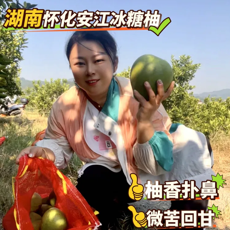 （自家果园直发）湖南怀化安江冰糖柚小苦柚麻麻柚子当季新鲜水果