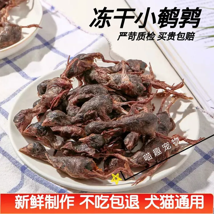 冻干小鹌鹑干猫咪宠物狗狗通用零食增肥发腮生宠物猫猫食品