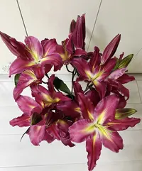 【源头优选百合鲜花直播】黑凤梨香水百合花 基地鲜花批发直播