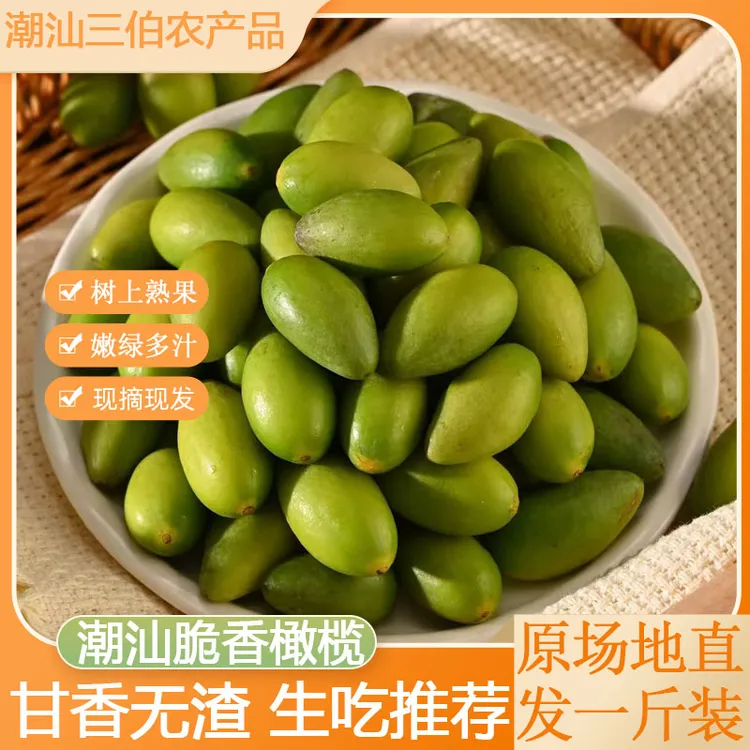 潮汕老树丛金灶脆香橄榄 生吃煲汤 榨汁 生吃 一斤装 