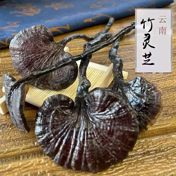【云南好物】竹灵芝云南特产灵芝干货滋补品中药材真品草药紫灵芝粉