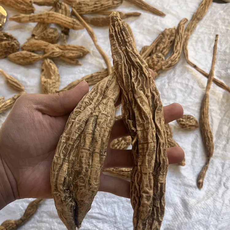 野生【干货小叶牛】整条晒干无添加百合干