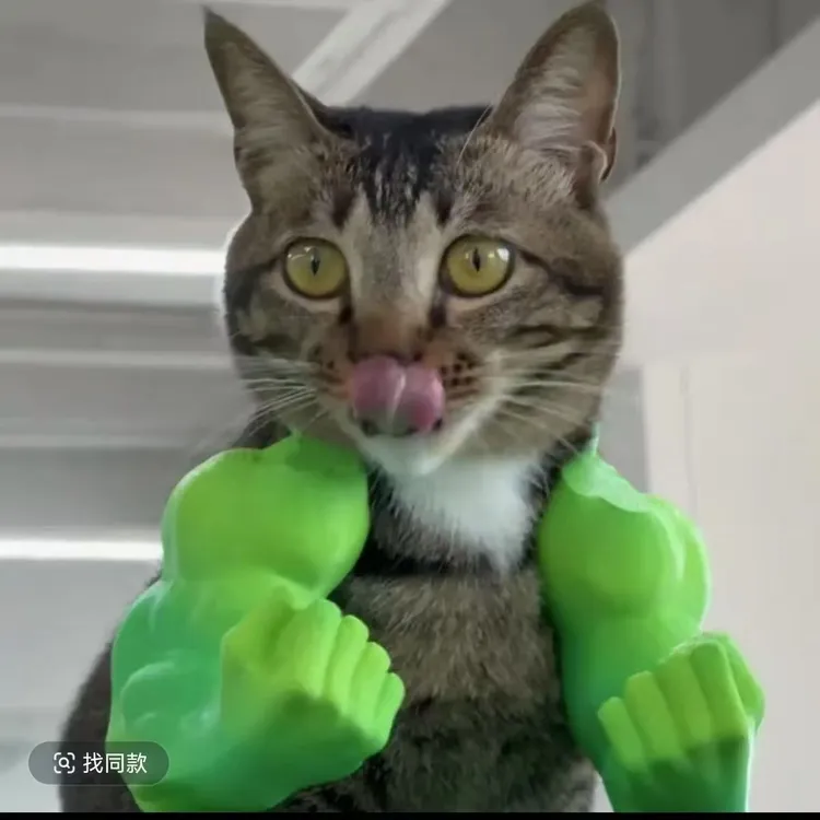 现货猫咪COS玩具猫咪肌肉手臂挂件麒麟手臂绿巨人浩克手臂3d打印