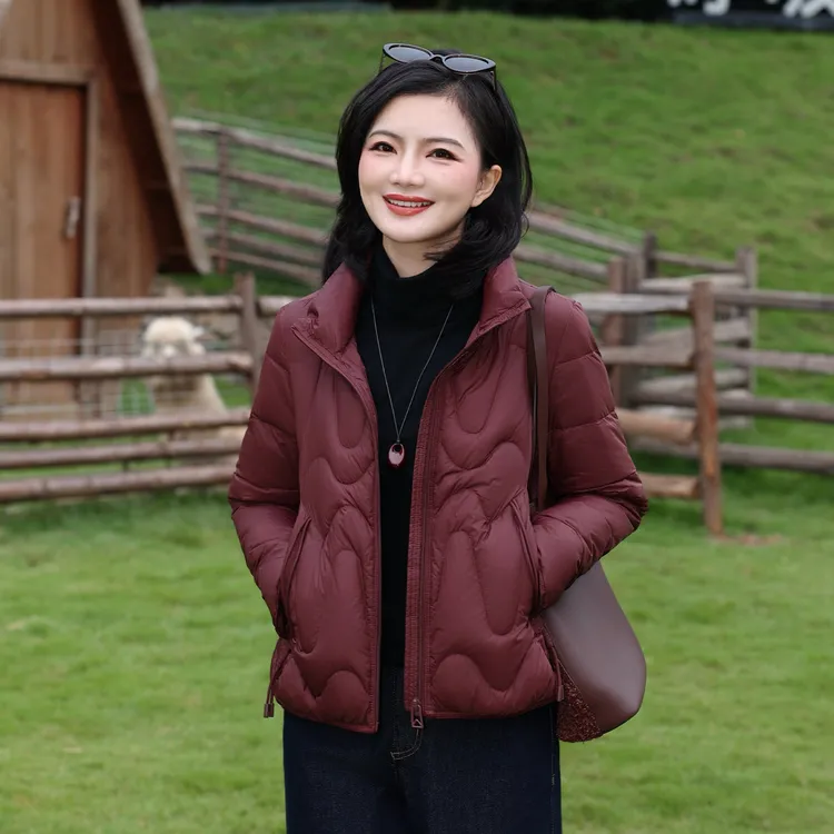 枫竺阿楠anan简约通勤立领90白鸭绒保暖羽绒服女秋冬装百搭外套