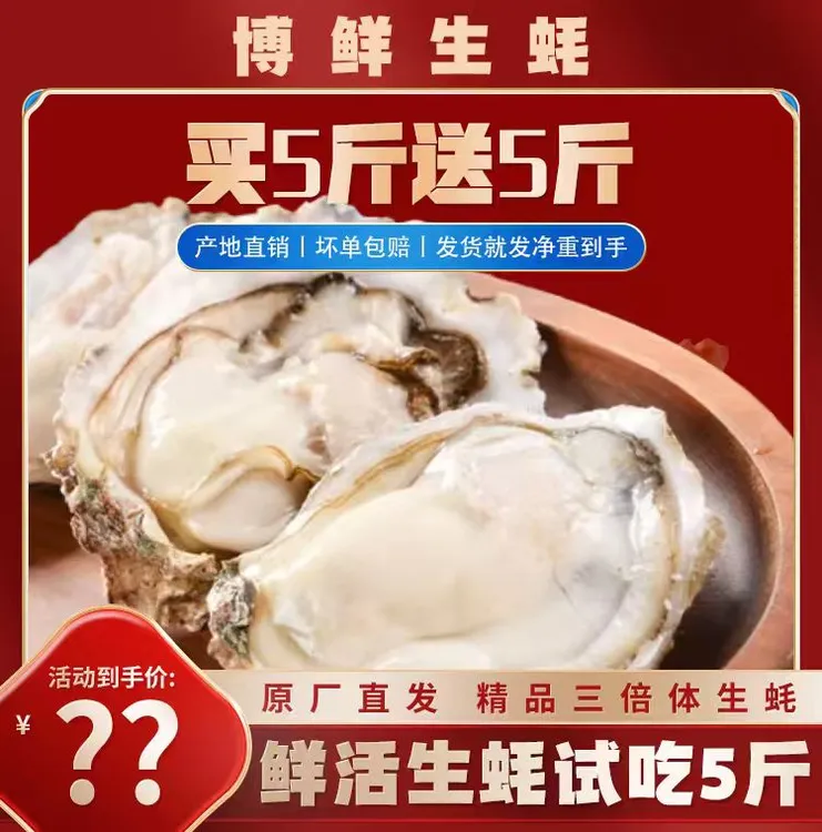 【买5斤送5斤】 正宗鲜活生蚝海蛎子新鲜金蚝包邮蒸煮烤生蚝冷水蚝④