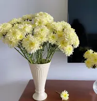 【香草沙拉小雏菊AK】香草沙拉小雏菊1把| 满两单升级快递