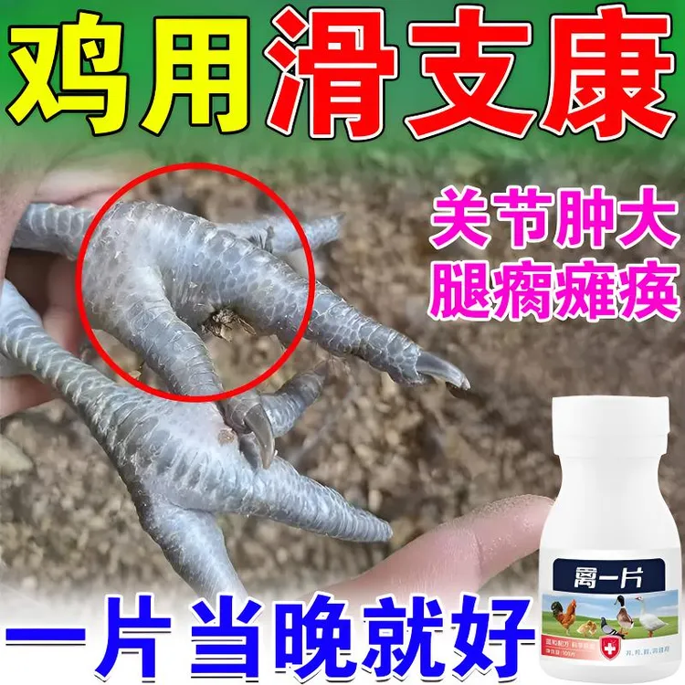 滑支康滑支净鸡瘫软腿瘸鸡滑液囊鸭鹅支原体关节肿大站不起禽一片