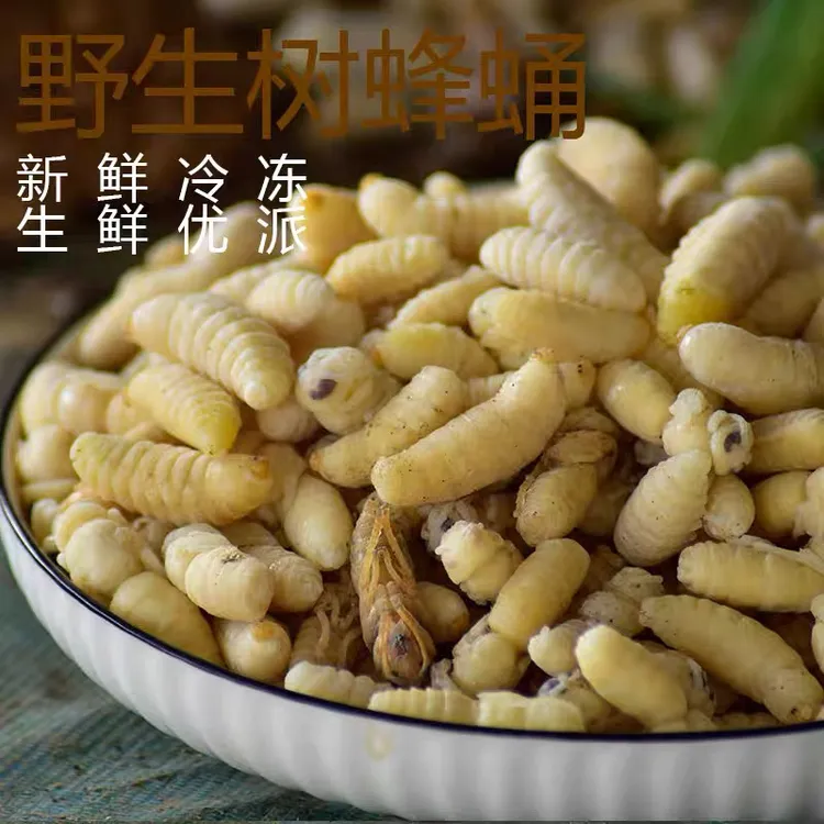 新鲜速冻蜂蛹黄脚树蜂高营养高蛋白
