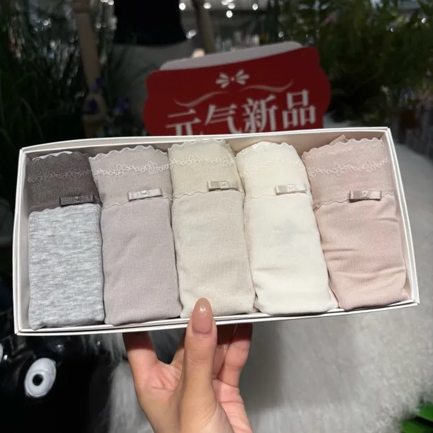 【5条装】0775 纯色干净素版蕾丝拼接莫代尔大包内裤95-140