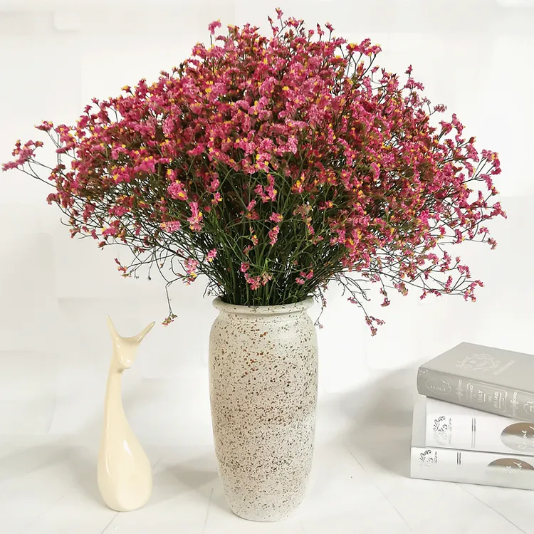 云南真花勿忘我满天星水晶草风干干花花束家居摆设论斤卖装饰摆件