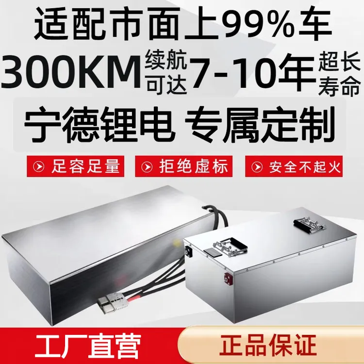 72伏宁德锂电定制两轮三轮通用脚踏坐桶