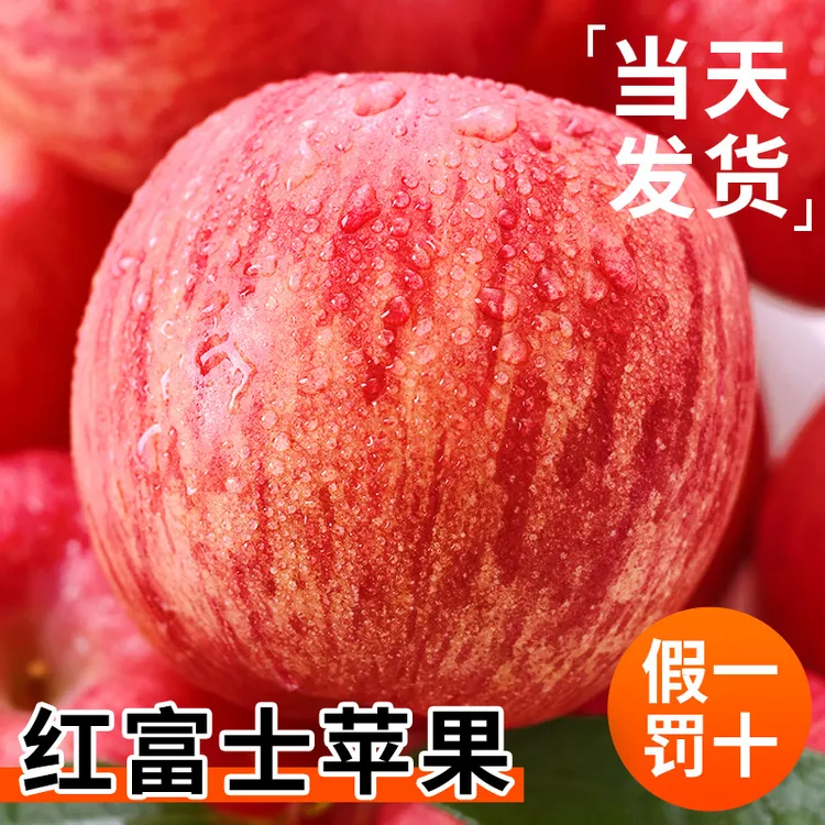 山东新鲜脆甜红富士苹果当季苹果新鲜水果冰糖心丑苹果现摘多汁