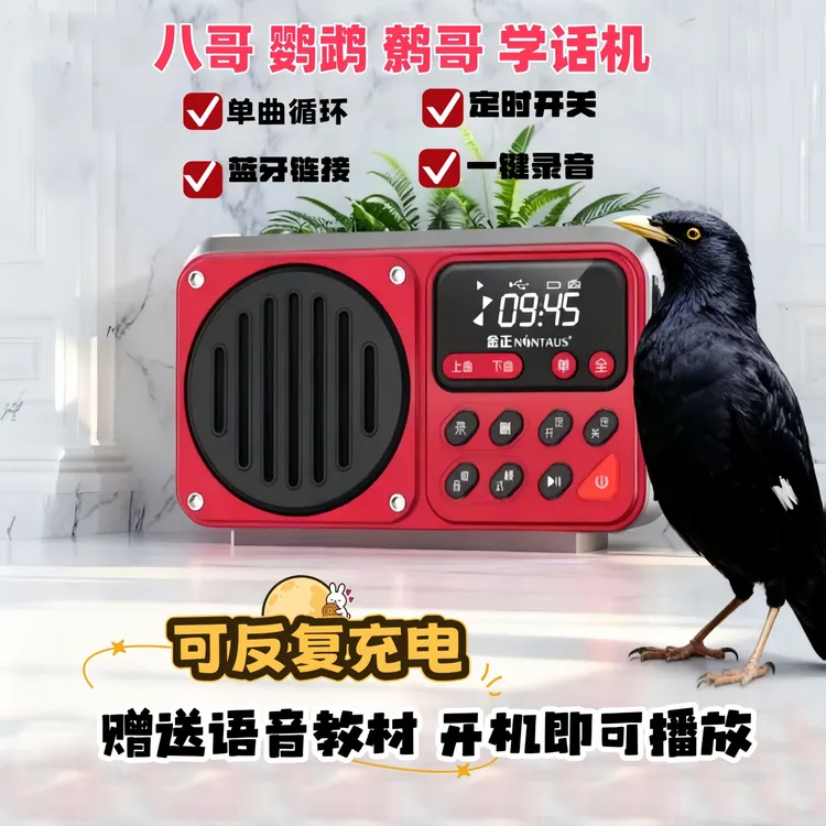 鸟用八哥鹦鹉训练学习说话器小太阳学讲话复读机鹩哥口哨教语神器