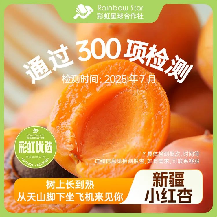 彩虹星球优选｜新疆小红杏3斤产地现摘现发多汁爽口自然成熟