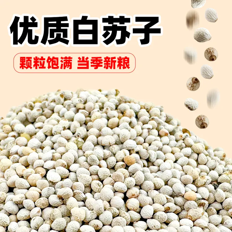 新鲜白苏子鸟食鸟粮大颗粒软壳苏籽虎皮鹦鹉玉鸟芙蓉鸟金丝雀饲料