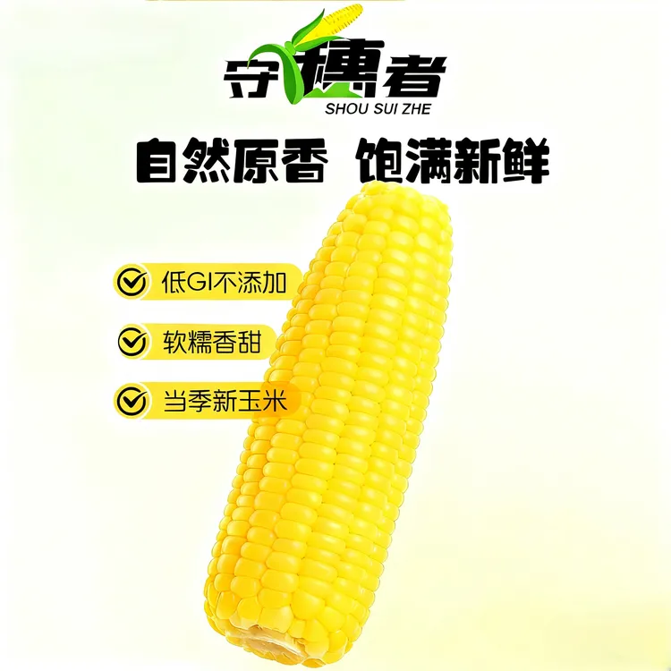 一年一季黄糯玉米软糯香甜真空包装适合当粗粮代餐早餐