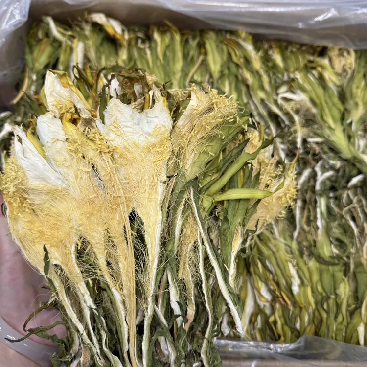 【珍渔意】精选霸王花剑花菜干货煲汤材料