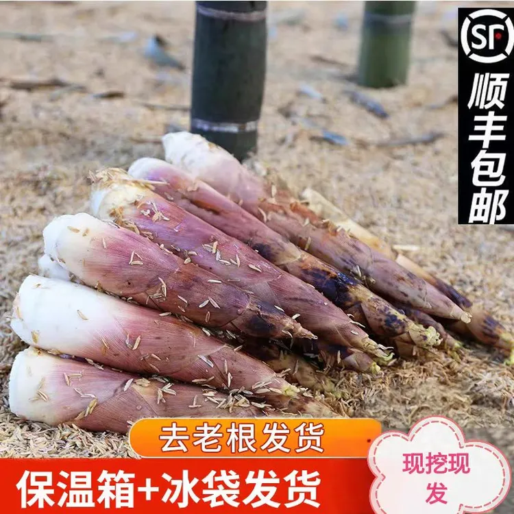 【顺丰包邮产地直发】江西弋阳曹溪正宗雷竹笋春笋砻糠笋新鲜现挖
