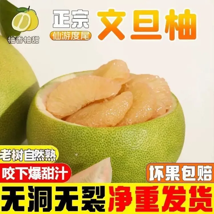 福建度尾文旦柚新鲜应季孕妇水果酸甜多汁