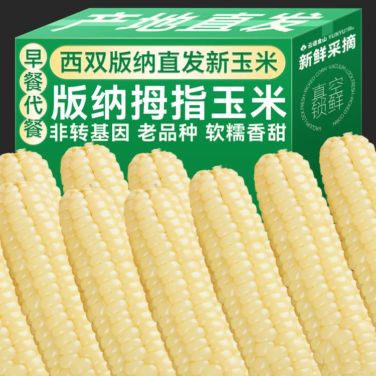 【热卖中!】拇指玉米真空装甜糯玉米迷你现摘锁鲜新鲜农家小白糯