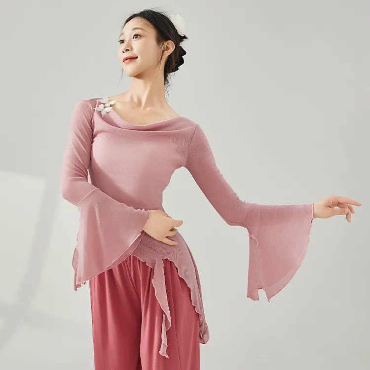 古典舞蹈服装成人款女仙气荡领蝴蝶网纱长袖上衣中国现代舞练功服