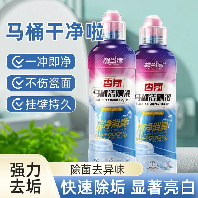 马桶清洁剂洁厕灵洁厕液强力去污除垢卫生间浴室管道疏通堵塞H2